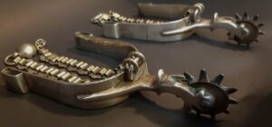 SOUTHAMERICAN SILVER SPURS