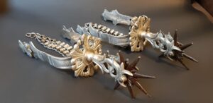 SOUTHAMERICAN SILVER SPURS