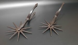 SOUTH AMERICAN IRON SPURS